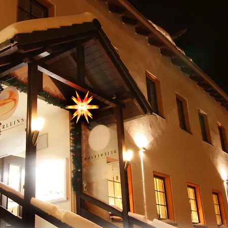 Beierleins Hotel&catering Gmbh 3* Reichenbach (Zwickau)