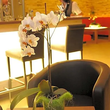 Beierleins & Catering Gmbh Hotel