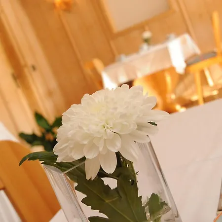 Hotel Beierleins & Catering Gmbh Reichenbach (Zwickau)