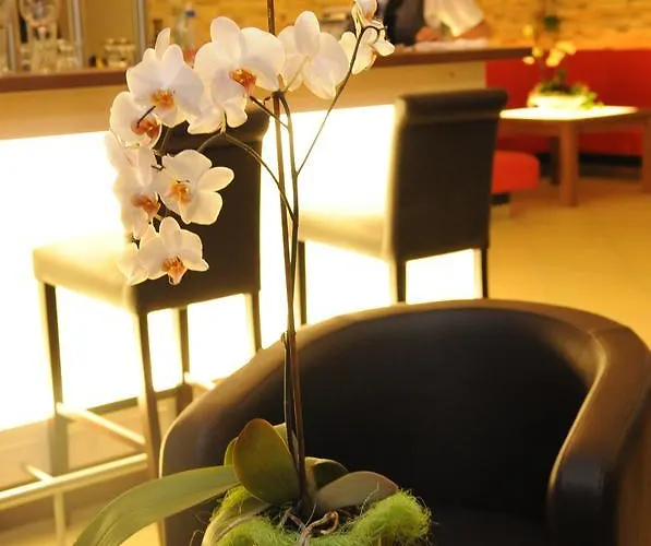 Beierleins & Catering Gmbh 3* Reichenbach (Zwickau)