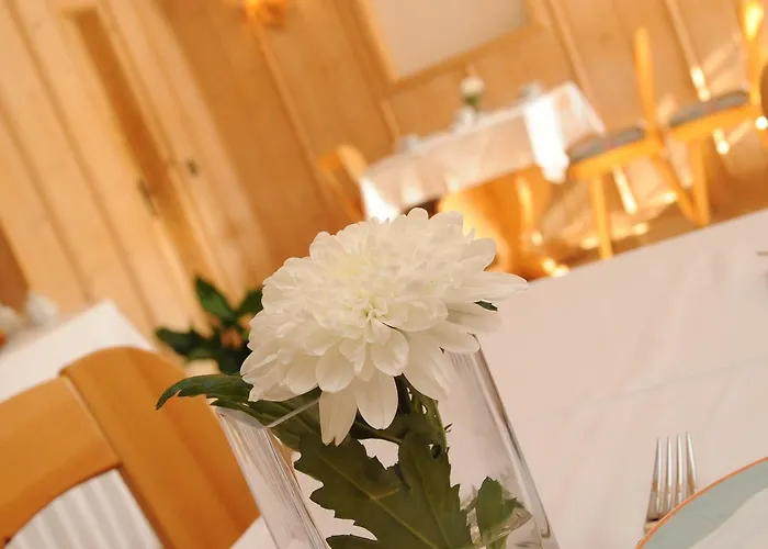 Hotel Beierleins & Catering Gmbh Reichenbach (Zwickau)